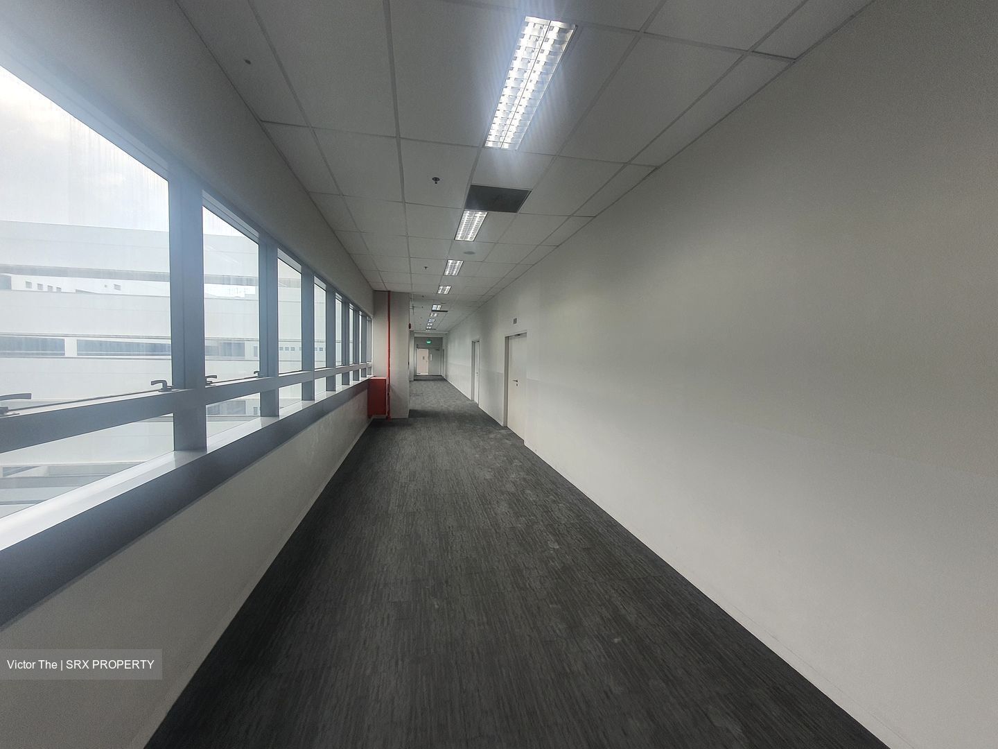 Techpoint (D20), Factory #452188331